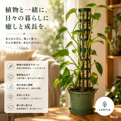 LUNTIA モジュール式モスポール スターターセット